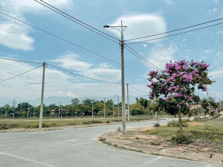 đất đại lộ hoa anh đào chỉ 8tr/m