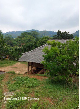 BÁN 3112m2 TẠI CAO PHONG- HOÀ BÌNH GIÁ CỰC RẺ