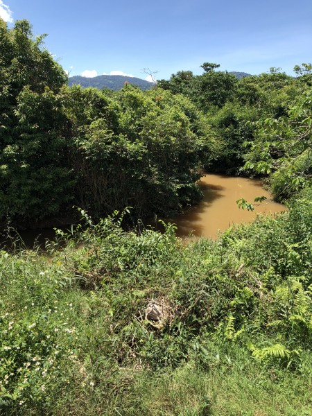 Đi đến slide 6