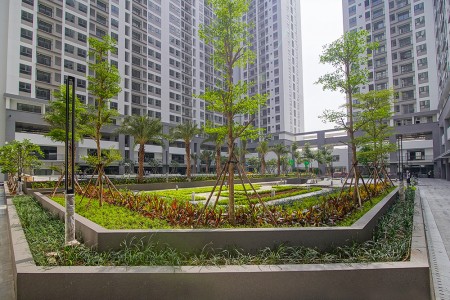 Đi đến slide 5