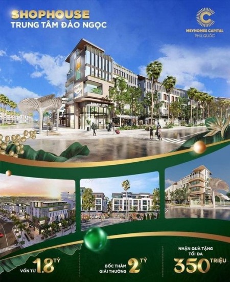 Đi đến slide 11