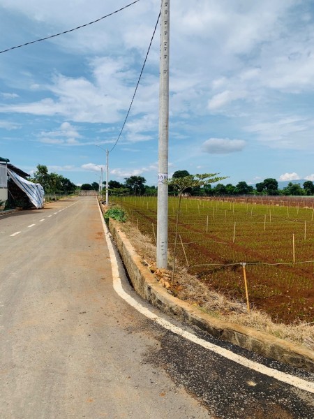 550 triệu có ngay lô đất 450m2, Nam Hà cách thị trấn Nam Ban 3km, đường bê tông