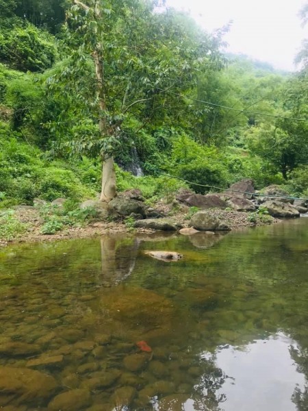 Bán nhanh 230m2, full thổ cư bám suối tại Kim Bôi Hoà Bình, ô tô vào tận đất