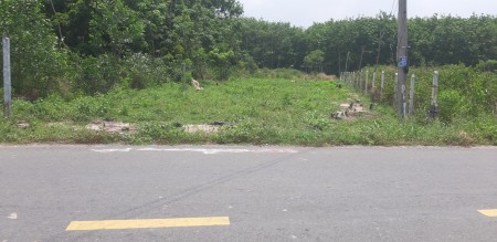 Cần vốn làm ăn nên bán gấp đất ở Bùi Thị Điệt, 525m2, 300m
