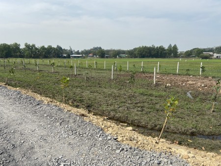 Đất vườn Củ Chi giá rẻ 1053m2 3ty580 2MT đường nhựa, SHR công chứng ngay và nuôn