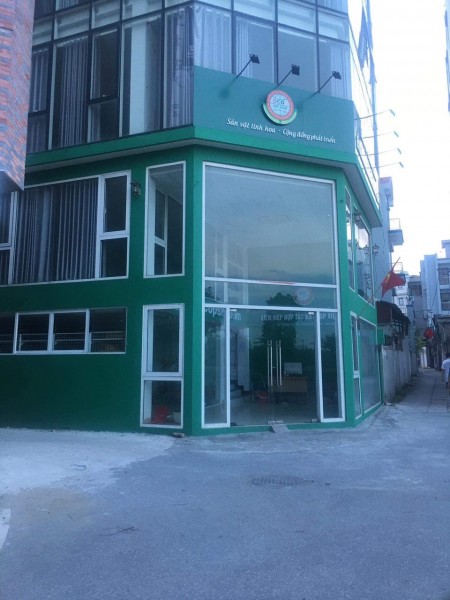 Nhà Vip gốc phố 3 mặt thoáng Hồng Tiến, Long Biên, kinh doanh thuận lợi, dt 79m2, giá 8 tỷ