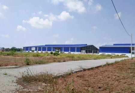 Đi đến slide 5