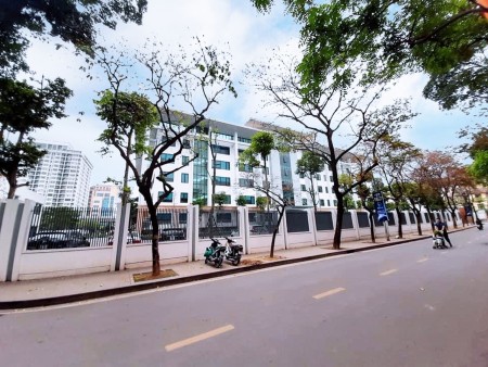 Bán nhà Hoàng Cầu, view vườn hoa, gần hồ Đống Đa, gara, dt 72m2, 5 tầng, mt 5.2m, giá 16.9 tỷ