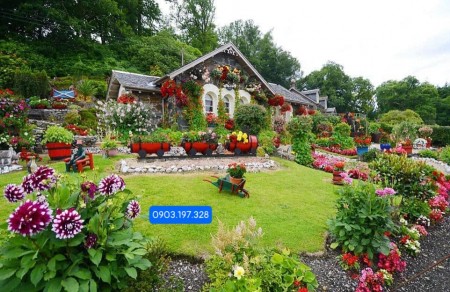 Cả 1 đời người lao động, sống vì con. Lúc xế chiều mà được ở ngôi nhà thế này thì là nhất