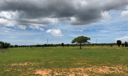 Đi đến slide 6