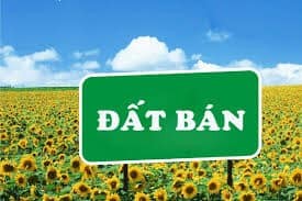 Bán Nhà Mặt Phố Đỗ Quang, Cầu Giấy, kinh doanh ô tô, dt 55m2 C4, giá 8.9 Tỷ