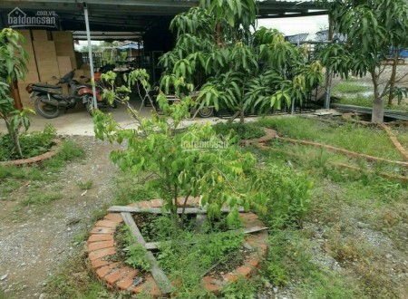 Bán Nhà vườn có sẵn xưởng KDC Long Thới, Nhà Bè 1000m2, giá 7,1 tỷ, Giá 7.1 tỷ +84.943211439 Ms Hải
