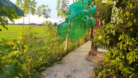 Đi đến slide 3