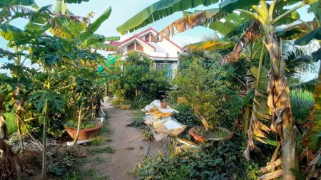 Mã tin 392 Vị trí đất đẹp, có nhà kiên cố và ĐẤT tại Lộc Hoà, Long Hồ, Vĩnh Long với: - Diện tích: 9 * 245 = 2 205 m².