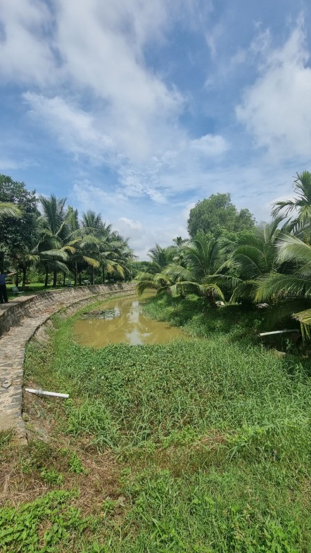 Bán nhà vườn nghỉ dưỡng 20000m2 Thạnh Phú Vĩnh Cửu gần hương lộ 15