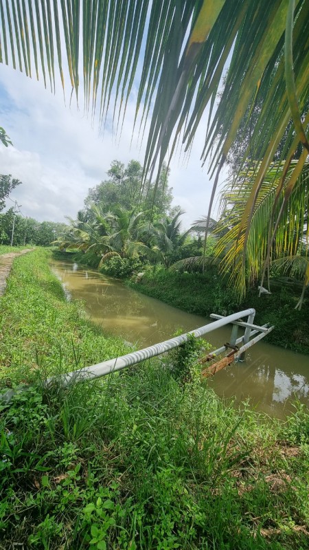 Đi đến slide 11