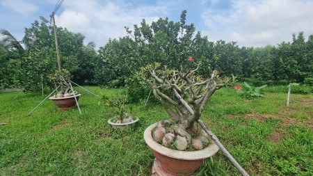 Đi đến slide 9