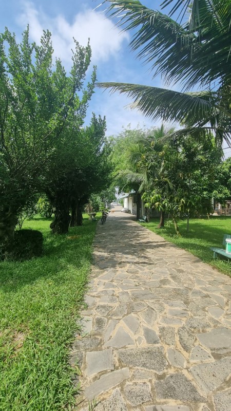 Đi đến slide 6