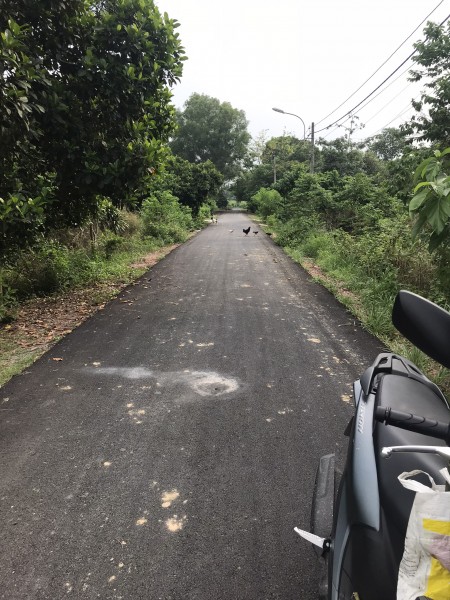 Đi đến slide 2