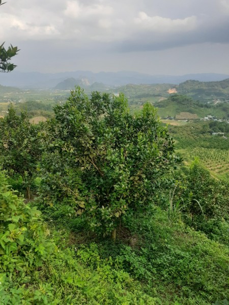 Đi đến slide 4