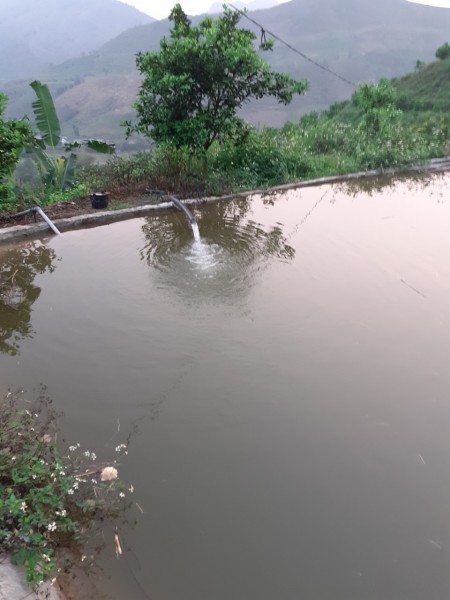 Đi đến slide 10