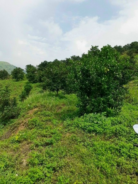 Đi đến slide 8