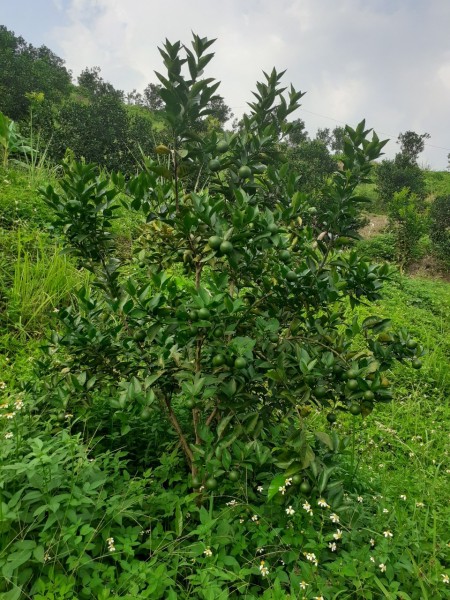 Đi đến slide 6