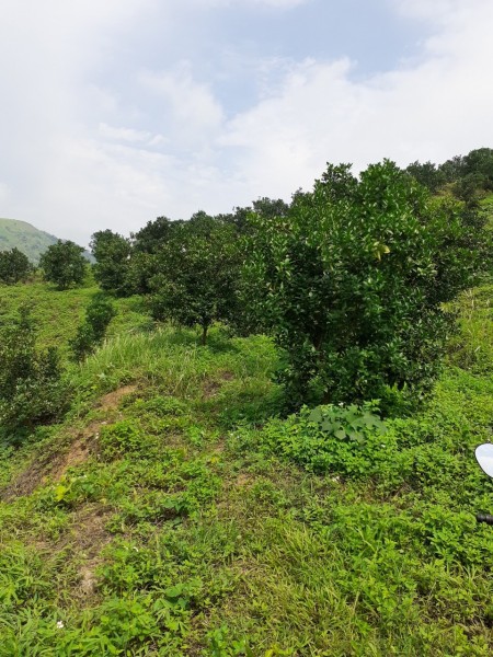 Đi đến slide 7