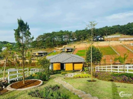 Đất biệt thự MEDI ECOVILL, sổ đỏ từng nền, 468 triệu sở hữu