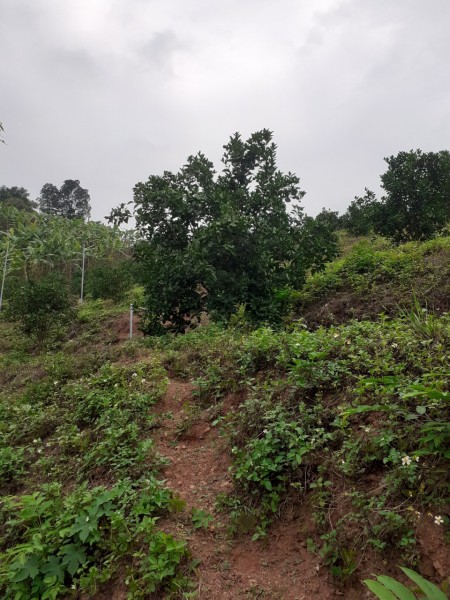 Đi đến slide 9