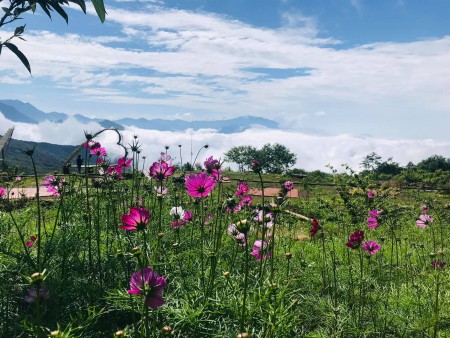 Bán mảnh đất xã Y tý đã có sổ đổ phù hợp làm Homestay view suất sắc