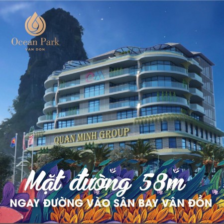 Chính Chủ Cần Bán LK11 - Dự án Ocean Park Vân Đồn - trục đường thuận tiện kinh doanh