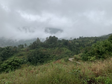 Diện Tích Lớn , View Đẹp , Ô Tô Vào , gần trung tâm , Không dính quy hoạch lại chưa Biết Tìm Đâu ?