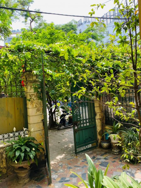 Bán nhà mặt phố Tây Hồ 120m2xMT 6,6m, ô tô 7 chỗ vào nhà, kinh doanh, 2 mặt thoáng