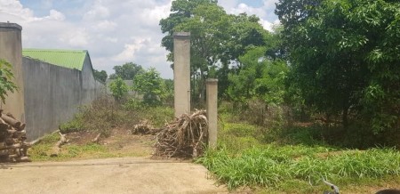 Cần bán gấp lô đất Bình Chánh, 6x22, giá 1tỷ900, cách MT Thanh Niên, SHR