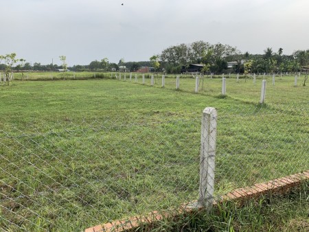 Đất vườn giá rẻ Củ Chi hơn 1000m2 1ty450 SHR công chứng sang tên ngay