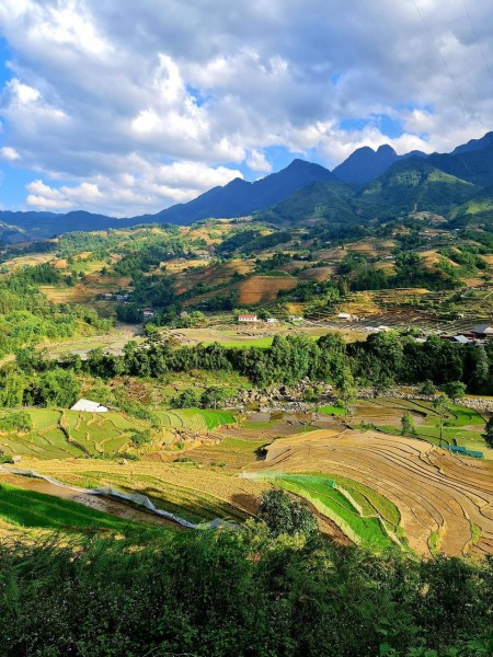 Đi đến slide 4