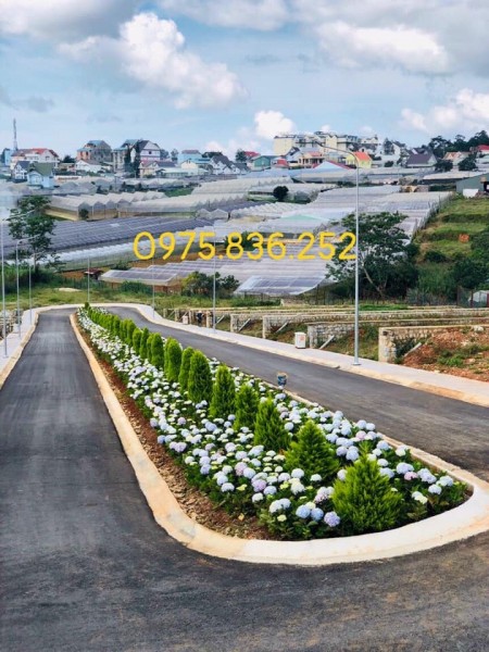 Khu Quy Hoạch Đất Nền Biệt Thự Phường 8, tp Đà Lạt