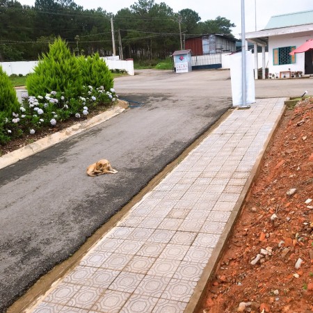 Đi đến slide 3