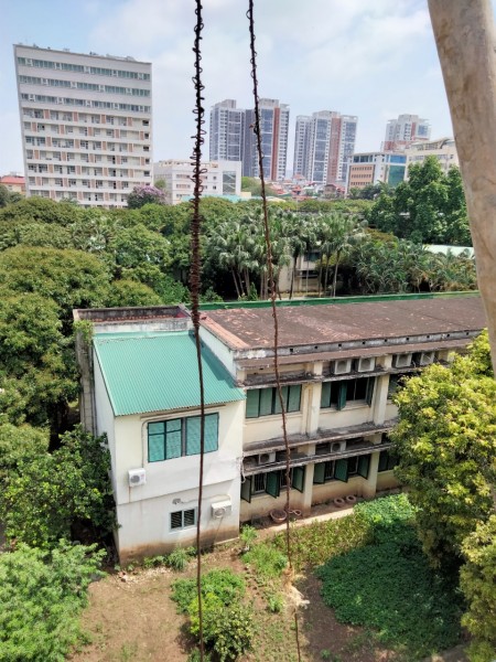 Nhà Trần Cung Hoàng Quốc Việt, vài bước ra mặt phố, không có ngoặt nào
