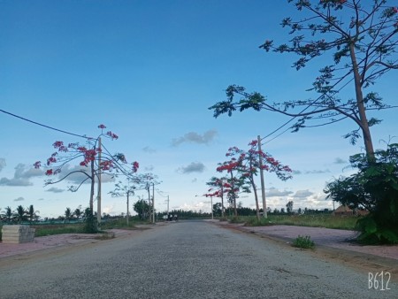 Đất nền thị trấn Thạnh Phú huyện Thạnh Phú