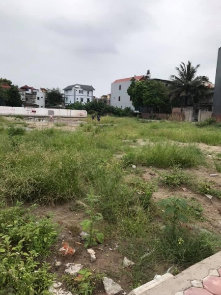 Bán 2500m2 đất thổ cư mặt trục đường chính quận Long Biên
