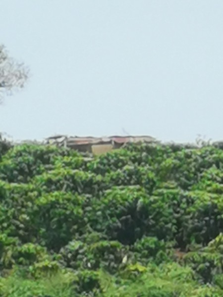 Đi đến slide 4