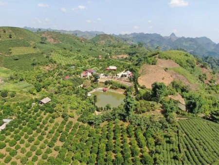 Lô đất Mộc Châu mang giá trị vàng cho nhà đầu tư 0822356688
