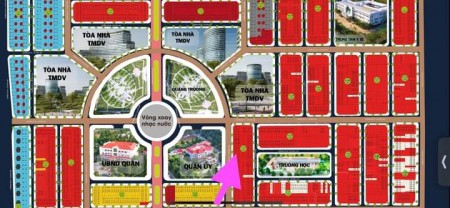 Nguyễn Thị Cẩm Tiên