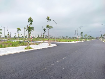 Đi đến slide 8