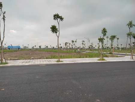 Đi đến slide 12