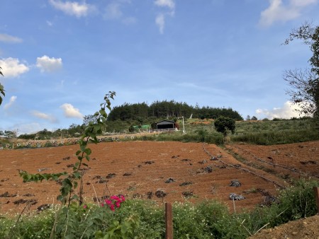 Đi đến slide 7