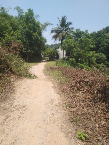 Đi đến slide 10