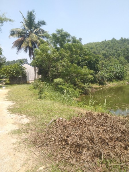 Đi đến slide 12